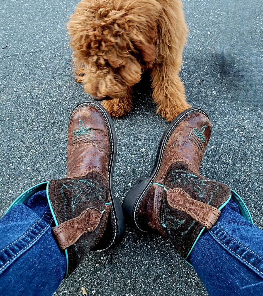Tupelo Honey Bear Jeans & Boots